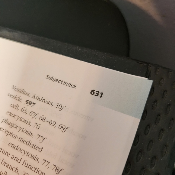 Hole's Essentials Of Human Anatomy And Physiology Binder Ready McGraw Hill - Picture 3 of 4